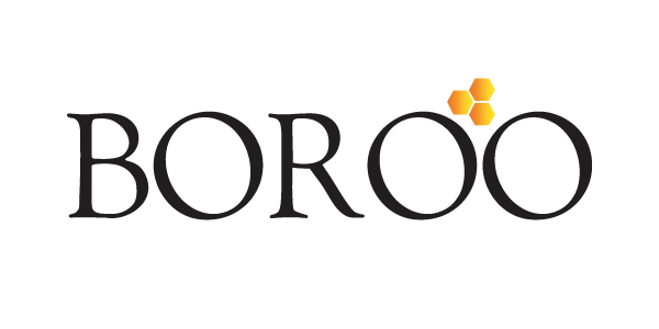 Boroo Pte. Ltd