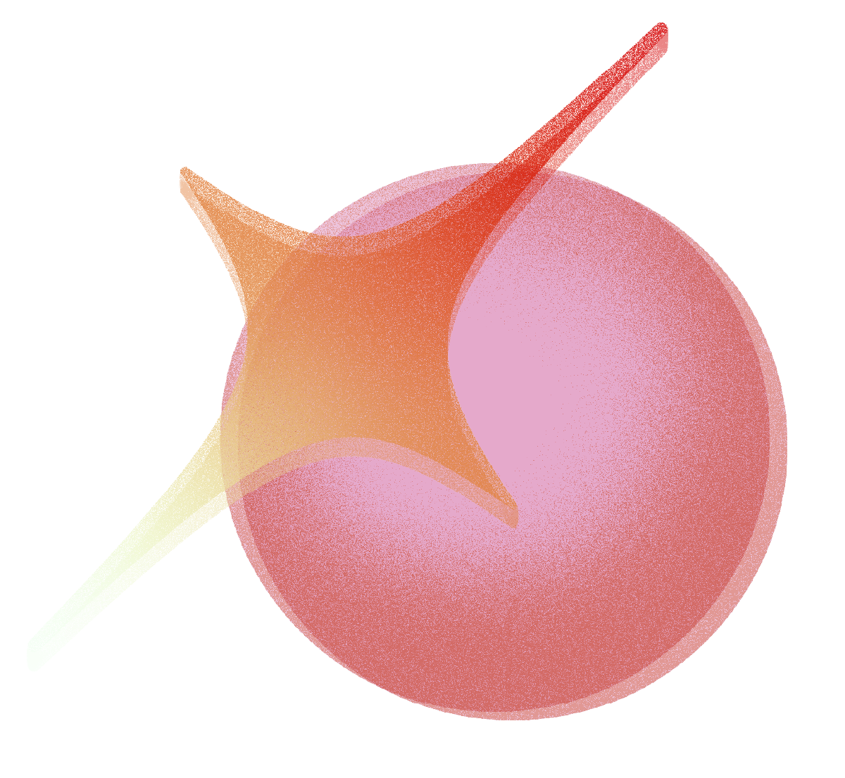 FNS FORUM